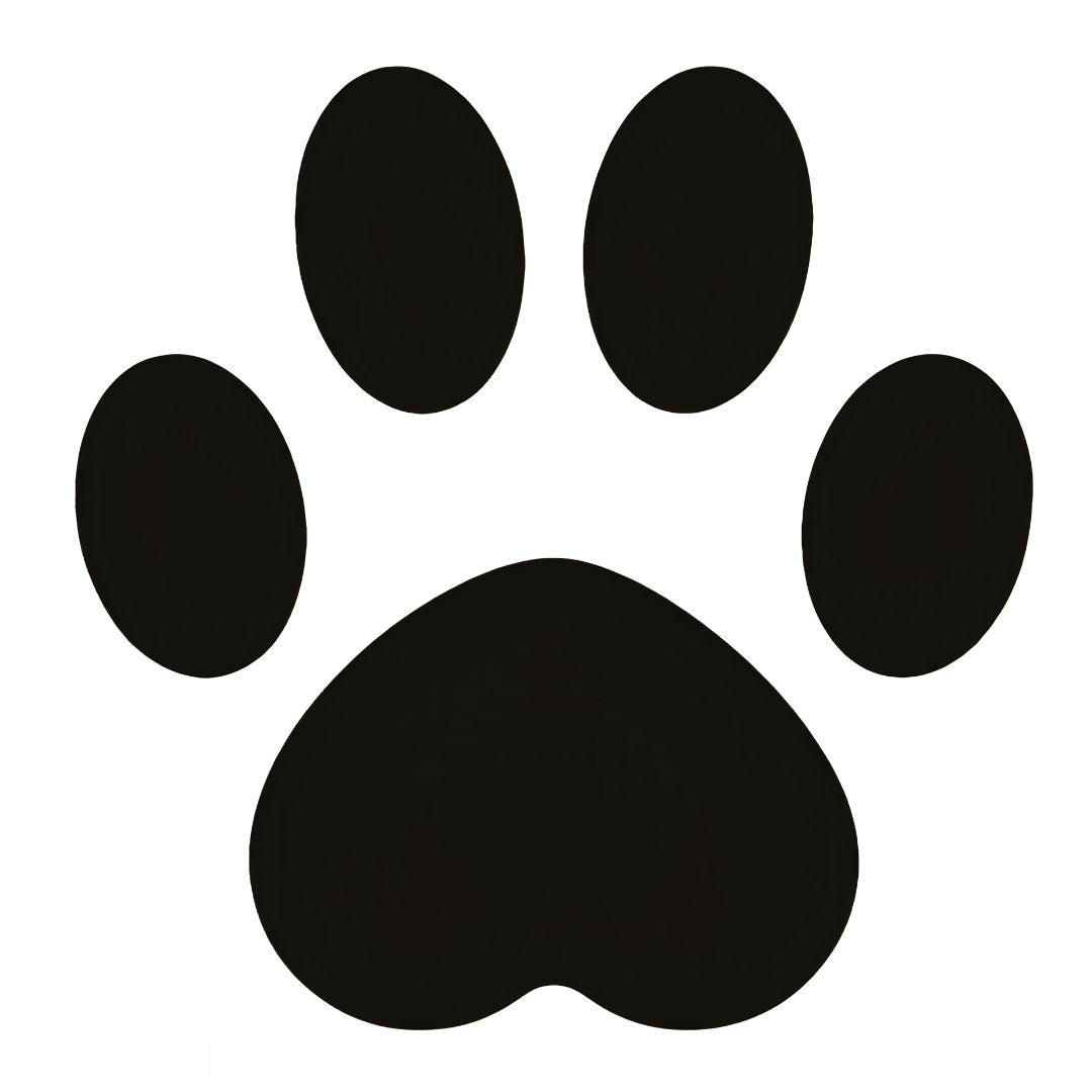 Solid blackwork paw print temporary tattoo on white background, four toe pads above a heart-shaped main pad.