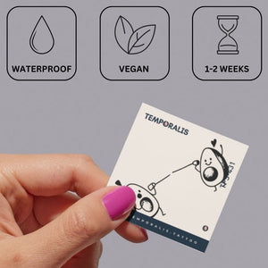 Avocado-Duell 2 – Temporalis® – Temporäres Tattoo