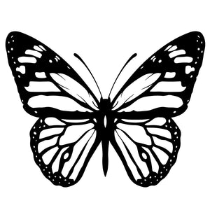 Butterfly Silhouette Temporary Tattoo - 2 | Temporalis