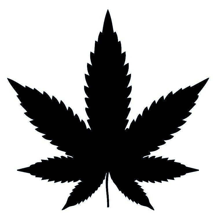 Cannabis Leaf Silhouette Temporary Tattoo - 2 | Temporalis