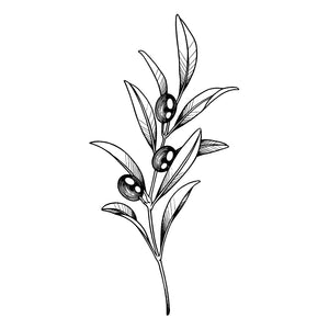 Fine line olive branch temporary tattoo - 2 | Temporalis