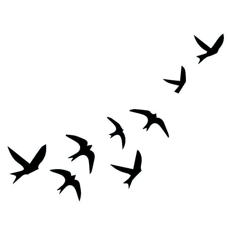 Flying Birds Silhouette Temporary Tattoo - 2 | Temporalis