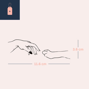 Human and Pet Connection 4 - Temporalis