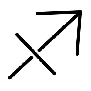 Minimalist zodiac sign Sagittarius 2 - Temporalis