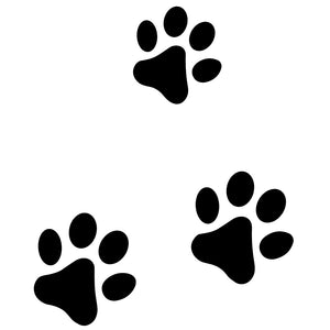 Pawprint Trio 2 - Temporalis