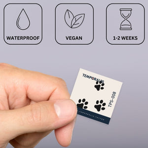 Pawprint Trio 2 - Temporalis® - Tatuaggio temporaneo