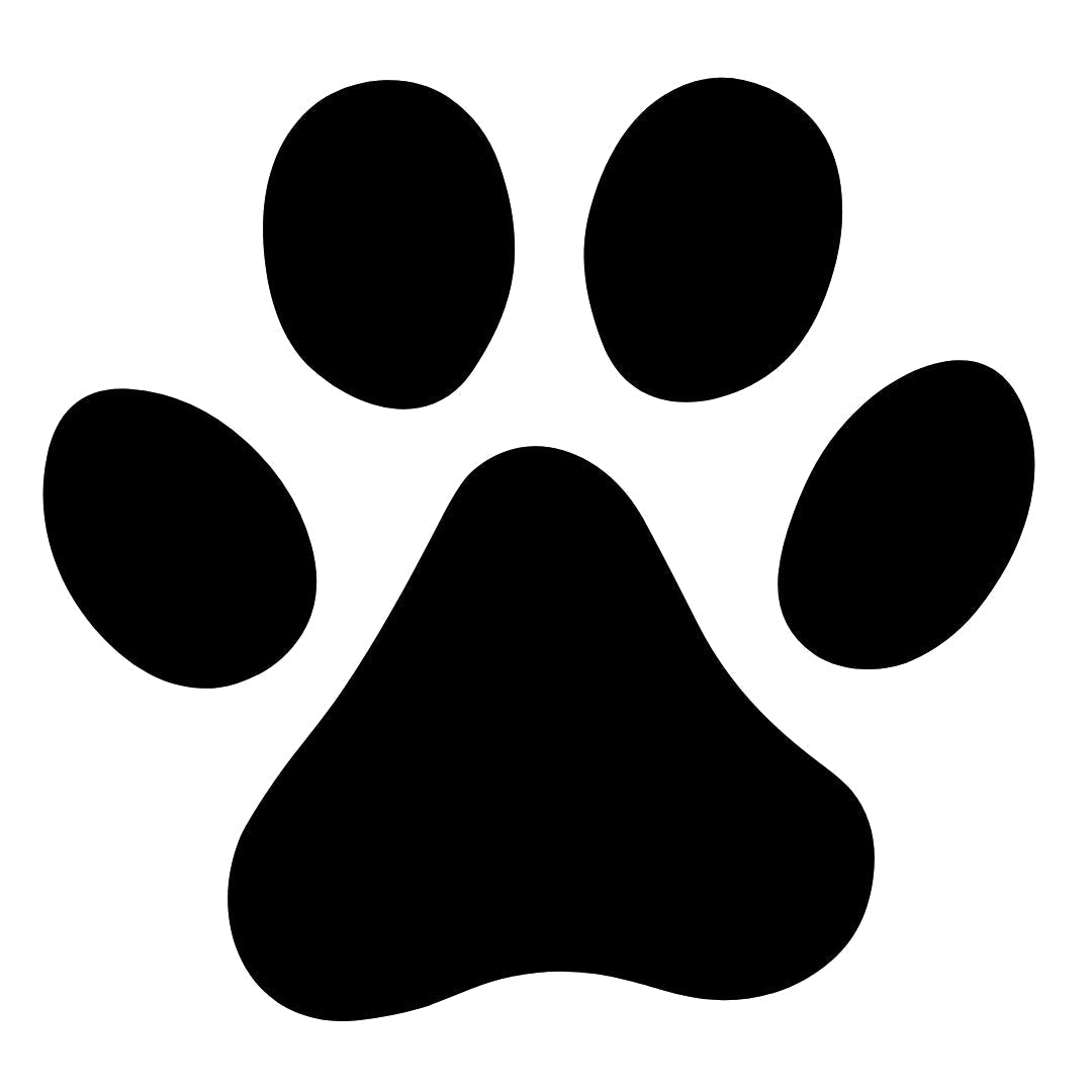 Small paw print temporary tattoo - 2 | Temporalis