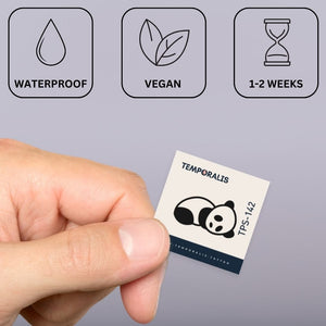 Snoozing Panda 2 - Temporalis® - Tatuaggio temporaneo