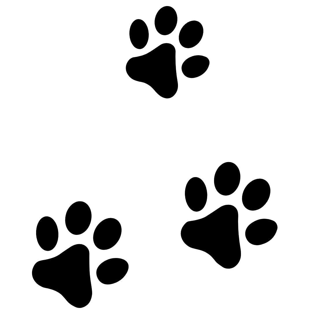Three Paw Prints Temporary Tattoo - 2 | Temporalis