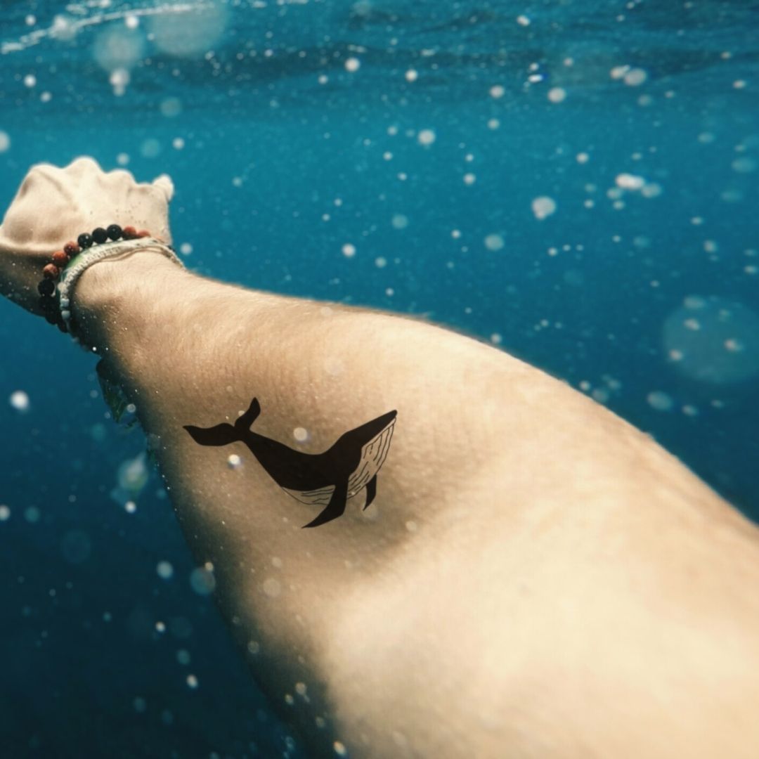 Whale Silhouette Temporary Tattoo - 1 | Temporalis