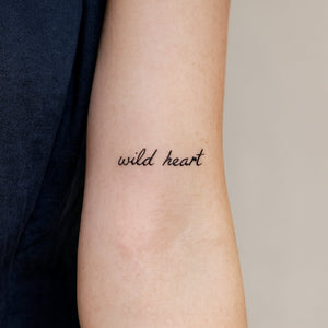 "wild heart" writing 1 - Temporalis