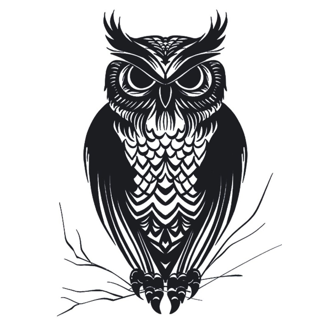 Bold blackwork owl temporary tattoo perched on a bare branch, detailed feather linework, front-facing on white background.