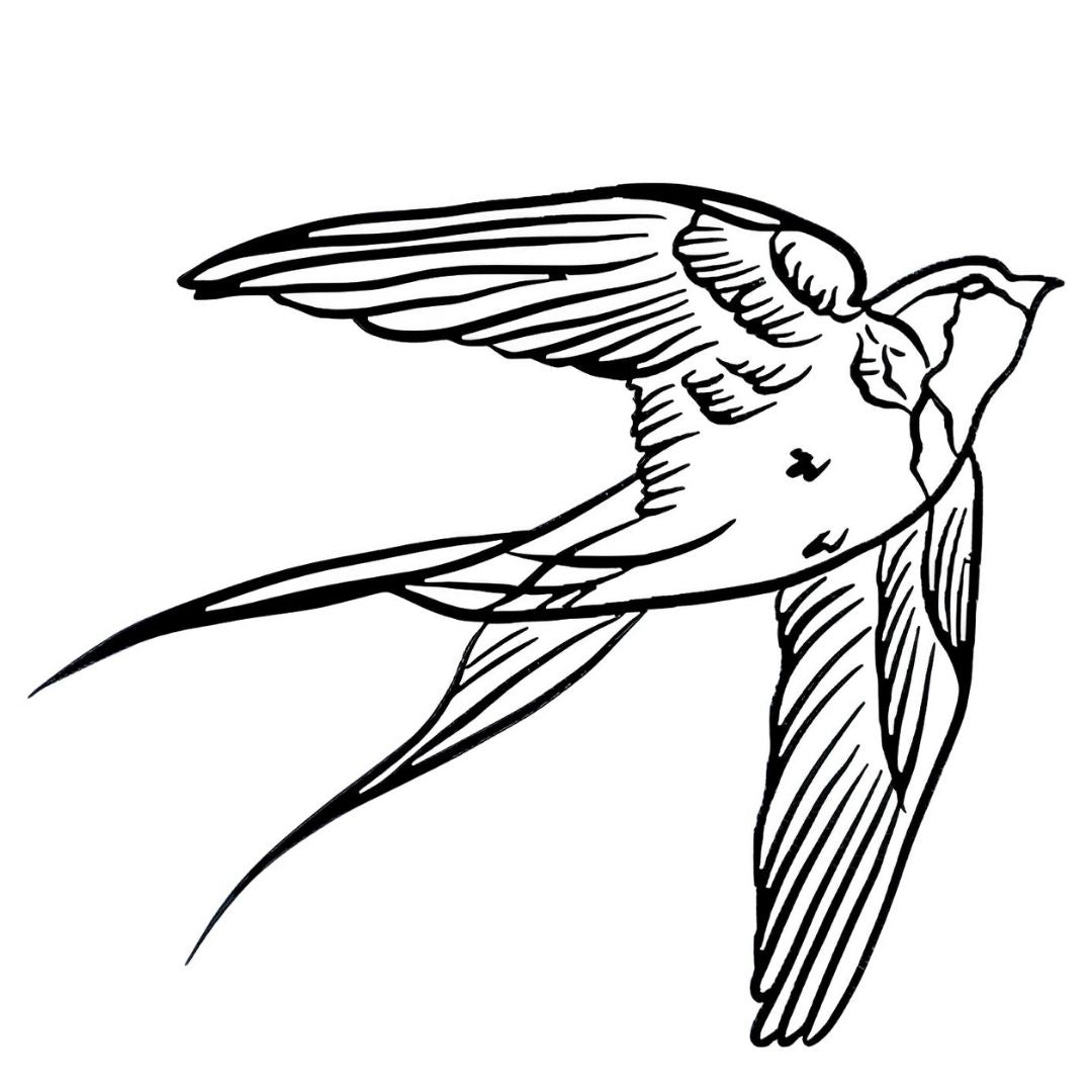 Classic swallow in flight temporary tattoo with detailed linework and forked tail, traditional style on white background.
