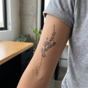 Botanical Wildflower Stems Tattoo - 1 | Temporalis