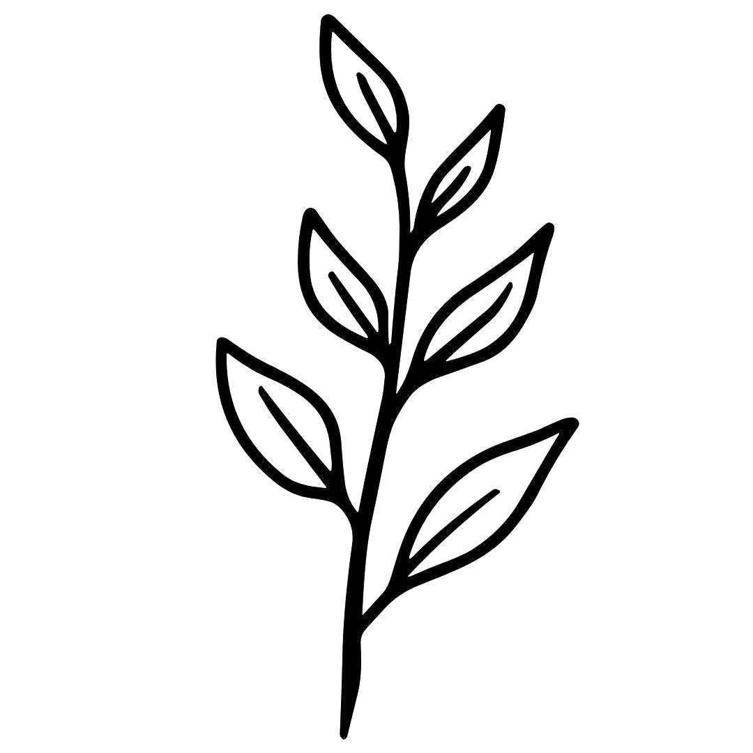 Fine line leafy branch temporary tattoo - 2 | Temporalis
