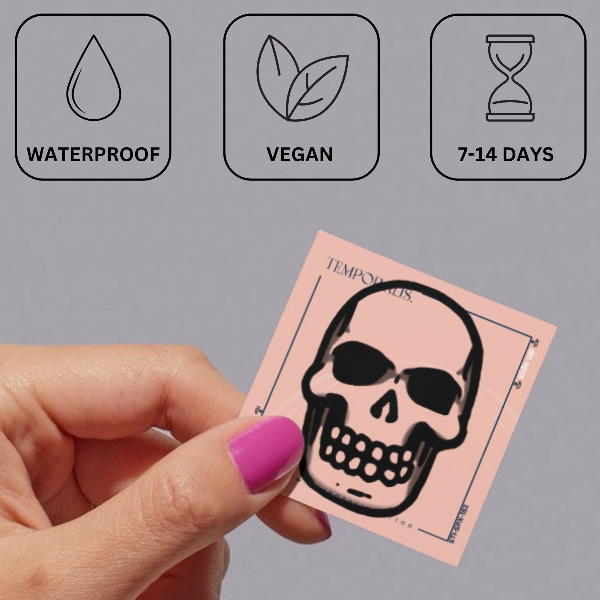 Human Skull Temporary Tattoo 4 - Temporalis