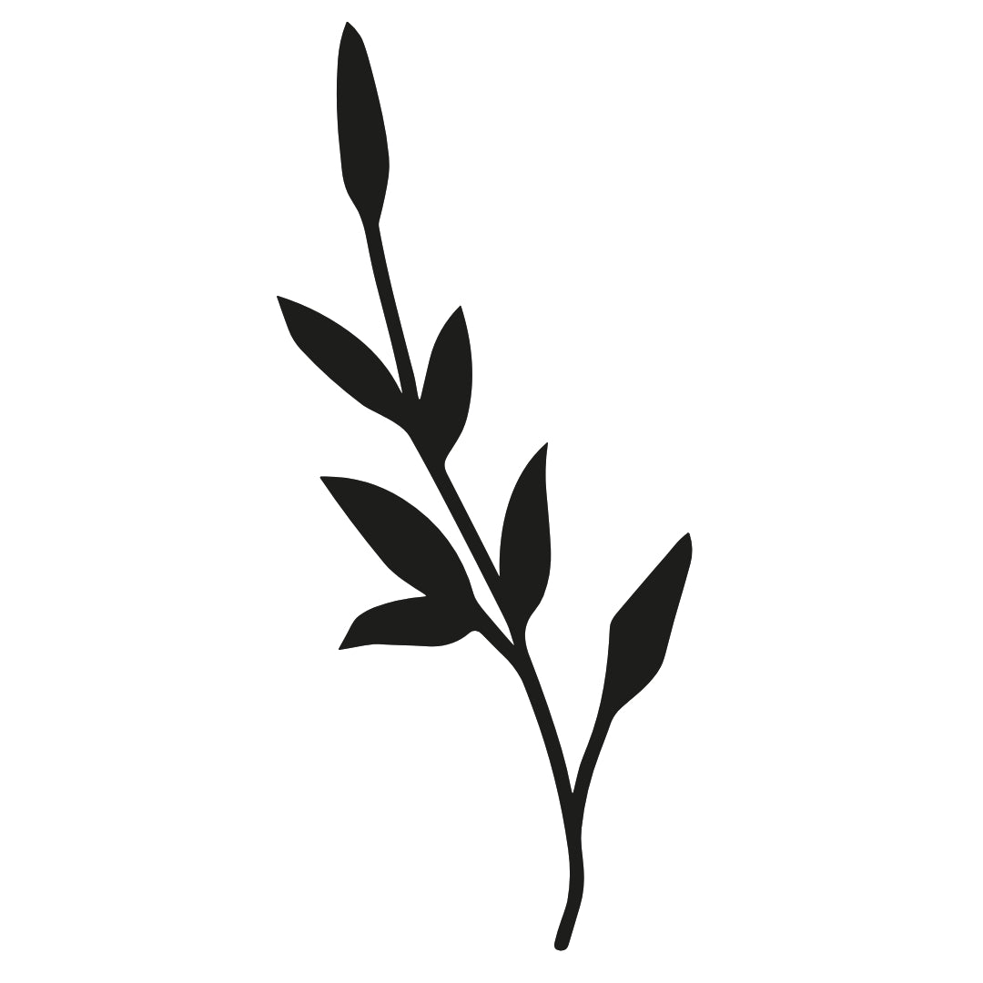 Leafy Branch Silhouette Temporary Tattoo - 2 | Temporalis