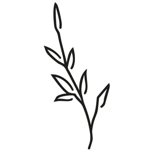 Minimalist Herb Stem 2 - Temporalis