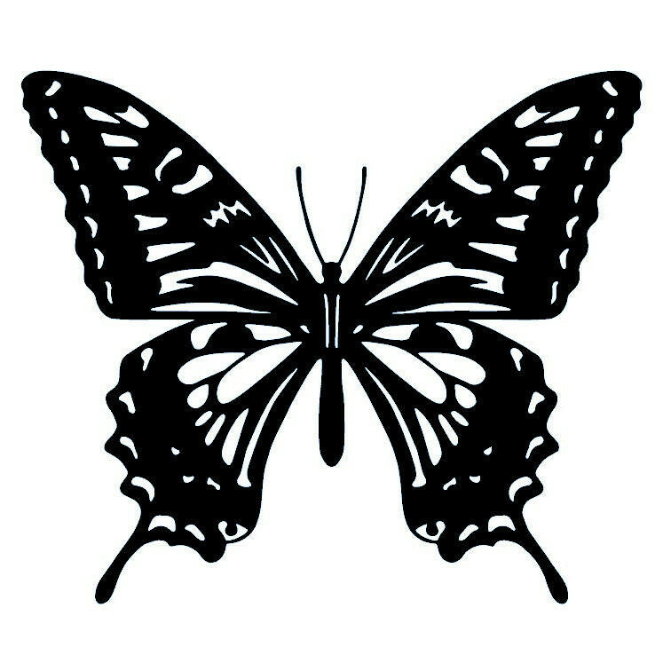 Monarch butterfly temporary tattoo - 2 | Temporalis