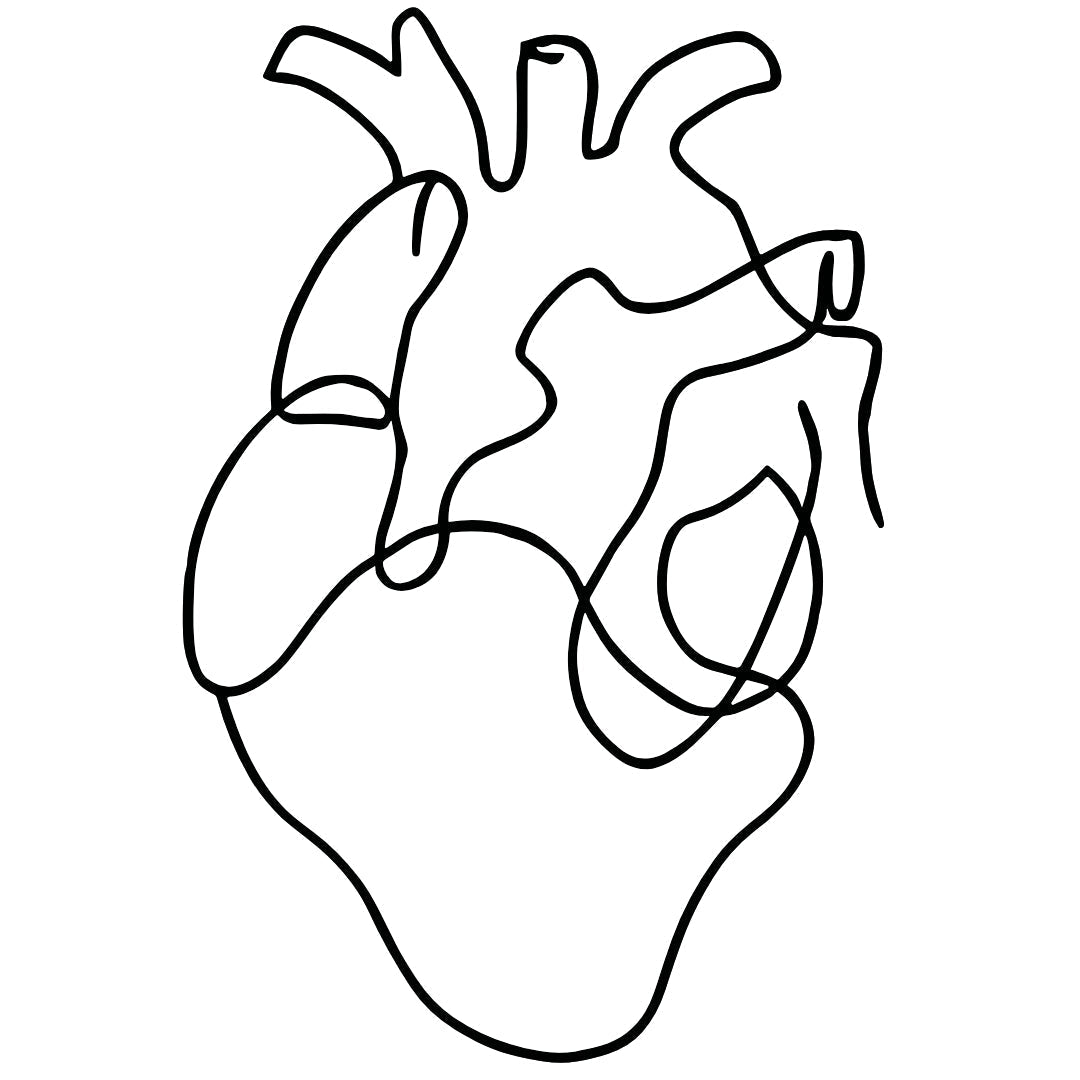 One - line anatomical heart temporary tattoo - 2 | Temporalis