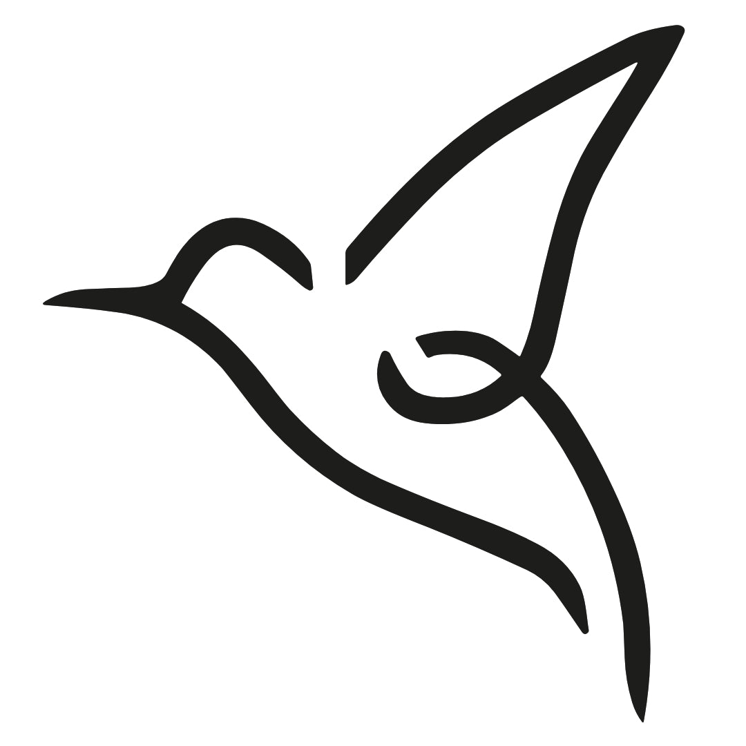One - line hummingbird temporary tattoo - 2 | Temporalis