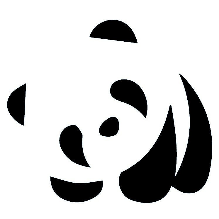 Panda Face Temporary Tattoo - 2 | Temporalis