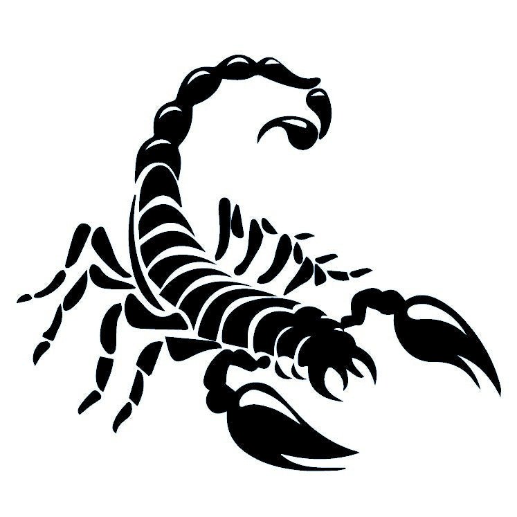 Tribal Scorpion Temporary Tattoo - 2 | Temporalis